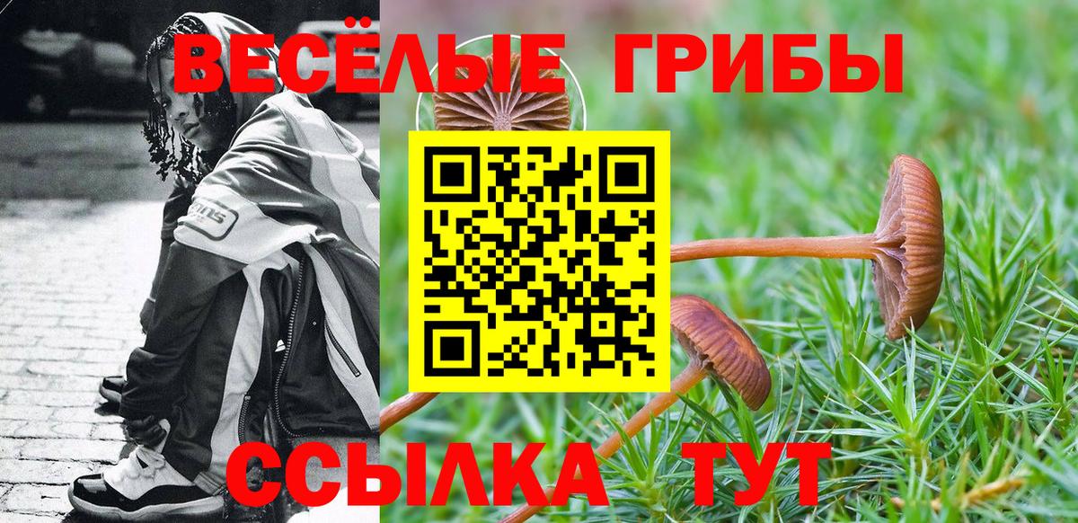 Рязань  Галлюциногенные грибы GOLDEN TEACHER  Вход с VPN 