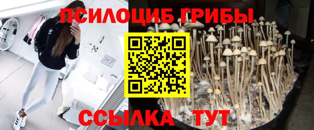 Галлюциногенные грибы ЛСД Рязань